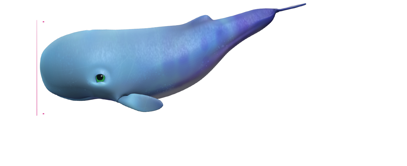 Baby Sperm Whale