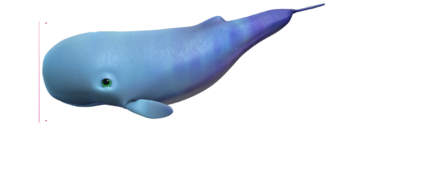 Baby Sperm Whale The Deep