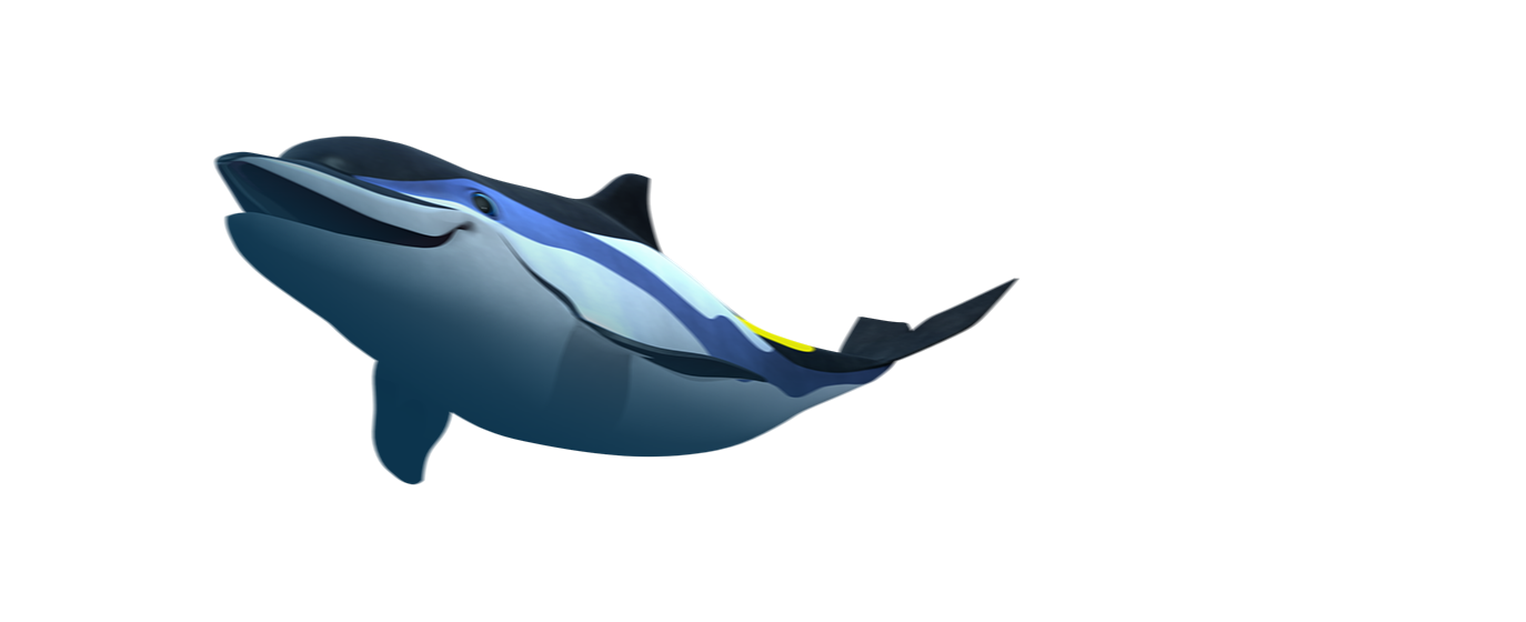 Dolphins